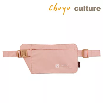 珠友  防竊隨身收納腰包/防搶包/防盜包(M)B粉
