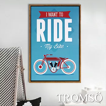 TROMSO北歐風尚板畫有框畫-騎士生活40X60CM