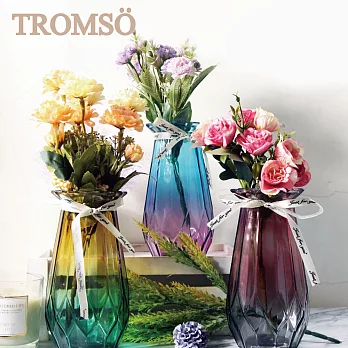 TROMSO巴黎香榭卡麗娜花器-D3入套組