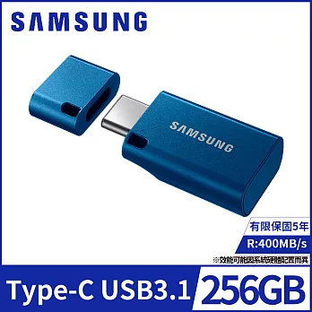 【SAMSUNG 三星】Type-C 256GB USB3.1隨身碟(MUF-256DA/APC)公司貨