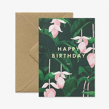 【AWS】MEDINILLA – HAPPY BIRTHDAY 生日卡 #1060