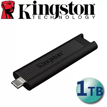 Kingston 金士頓 1TB 1000MB/s DataTraveler MAX Type-C USB3.2 Gen2 隨身碟 DTMAX/1TB