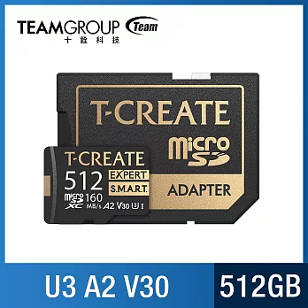 TEAM 十銓 EXPERT S.M.A.R.T. Micro SDXC 記憶卡  512GB (U3 V30 A2) R/W: 170/160MB/sec  黑金