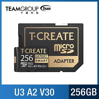 TEAM 十銓 EXPERT S.M.A.R.T. Micro SDXC 記憶卡 256GB (U3 V30 A2) R/W: 170/160MB/sec  黑金