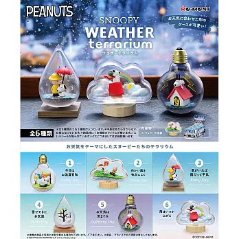 RE-MENT SNOOPY系列 史努比 瓶中世界 WEATHER Terrariu _全套6款