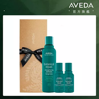 AVEDA 花植結構重鍵洗髮精增量禮盒