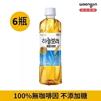 韓國熊津 大麥飲500ml (6瓶)