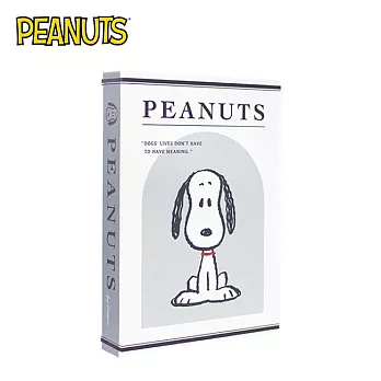 【日本正版授權】史努比 書型收納盒 - 白色長薄型