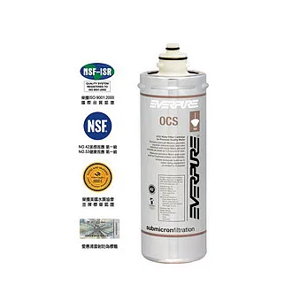 【愛惠浦EVERPURE】 咖啡機專用型濾芯OCS