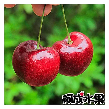 【阿成水果】美加空運櫻桃禮盒(1.8kg/盒 9.5Row)