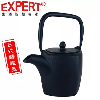 【EXPERT】生活智慧大師 - 君品鑄鐵茶壺 320ml TE-320