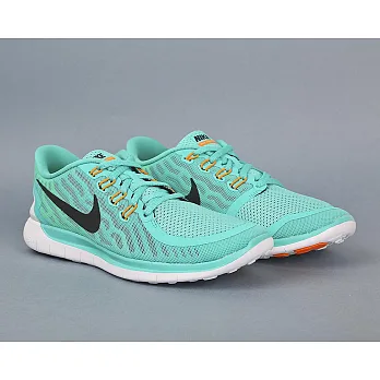 【G.T Company】Nike FREE 5.0 慢跑鞋反光男款8.5湖水綠