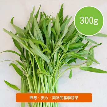 【陽光市集】陽光農業-空心菜(300g/包)