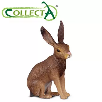 【CollectA】野兔