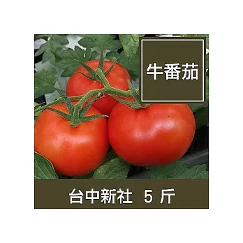 台中新社【牛番茄】5斤
