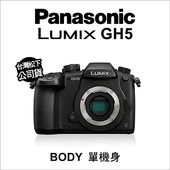 Panasonic LUMIX DMC-GH5 單機身 公司貨★贈32G記憶卡*2+相機清潔組