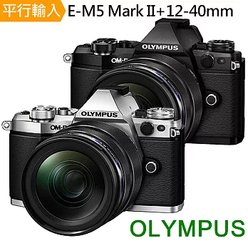 OLYMPUS OM-D E-M5 Mark II+12-40mm 單鏡組-銀*(平行輸入)-送64G記憶卡+鋰電池+單眼包+中腳架+拭鏡筆+減壓背帶+強力清潔組+保護貼