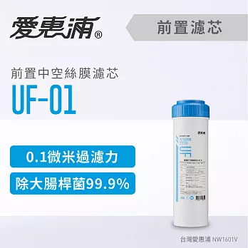 【愛惠浦】10英吋前置UF中空絲膜濾芯(1支) UF-01