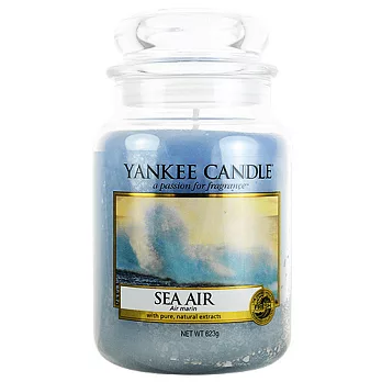 YANKEE CANDLE 香氛蠟燭 623g-海的味道