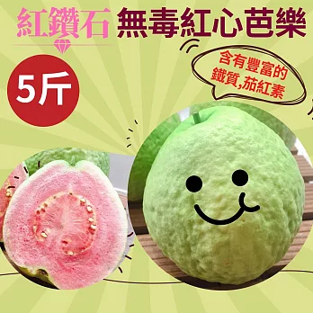 草生栽培!含有豐富鐵、茄紅素【樂品食尚】清脆甘甜!!無毒紅心芭樂5斤(免運組)