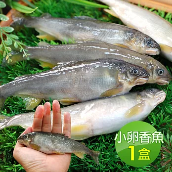 【優鮮配】宜蘭帶卵小香魚1盒(11-17尾裝/920g/盒)免運組