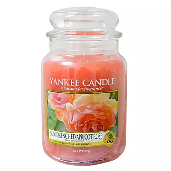 博客來 Yankee Candle 香氛蠟燭623g 陽光滋潤下的杏色薔薇