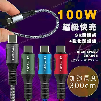 CityBoss勇固系列 Type-C to Type-C 100W 編織耐彎折快速充電線-300cm-2入 綠