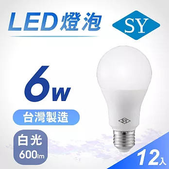 12入【SY 聲億】6W LED高效能廣角燈泡 -白光