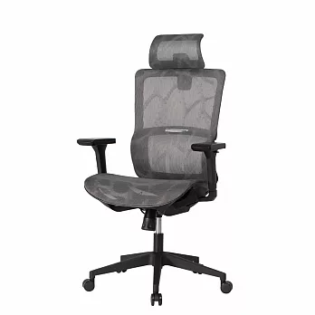 IDEA-仿生曲線護脊人體工學電腦椅-兩色可選 灰色