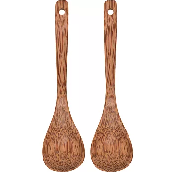 《NOW》椰木點心匙2入 | 攪拌匙 茶匙 下午茶餐具