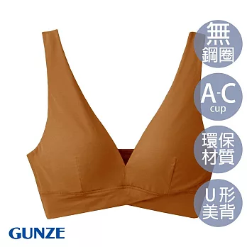 【日本GUNZE】天絲莫代爾無鋼圈內衣(SA1055-RED) L 紅棕