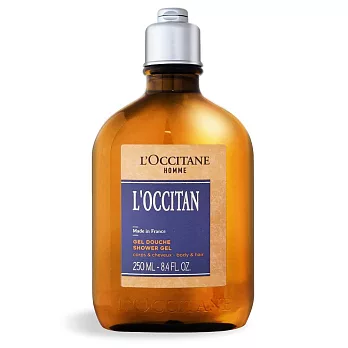 L’OCCITANE 歐舒丹 風格男士雙效沐浴膠(250ml)-國際航空版