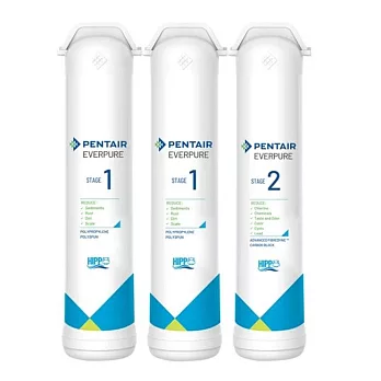 Everpure櫥下智慧型飲水器F2200專用濾心組(一年份) 白