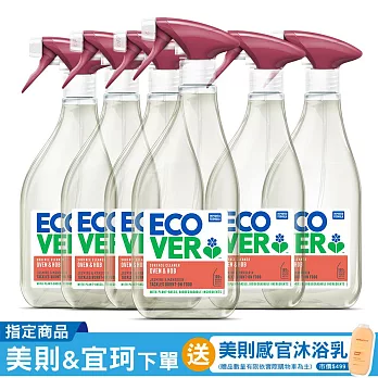 【箱購】ECOVER宜珂烤箱&廚房清潔劑500mlx6