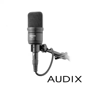 【AUDIX】A131 電容式麥克風 公司貨