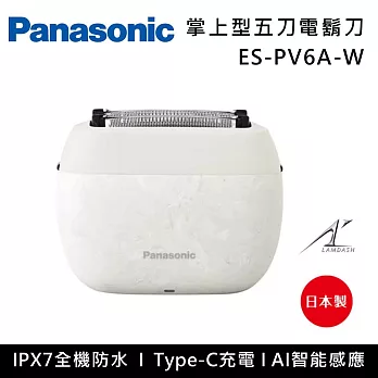 Panasonic 國際牌 ES-PV6A 掌上型5刃刀充電式電鬍刀 刮鬍刀 乾濕兩用 Type-C充電 日本製