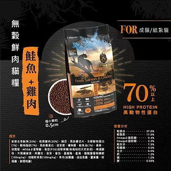 安柏希雅 無穀鮮肉貓糧 100g 全齡貓 - 鮭魚+雞肉