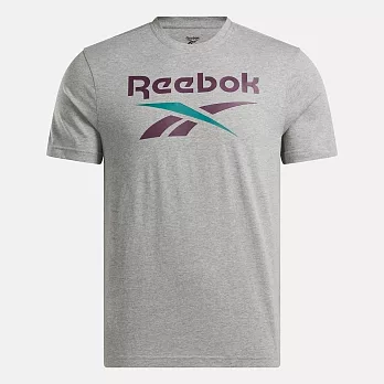 Reebok Identity Big Logo Tee [100206031] 男 T恤 柔軟 短袖上衣 舒適 灰