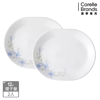 【美國康寧 CORELLE】 春晨藍花兩件式腰子盤組-B01