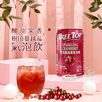 樹頂Tree Top 蔓越莓氣泡飲320mlx48 鋁罐