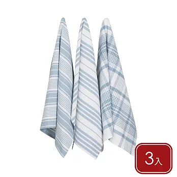 《NOW》Jumbo純棉擦拭布3入 - 水藍格紋91x61cm