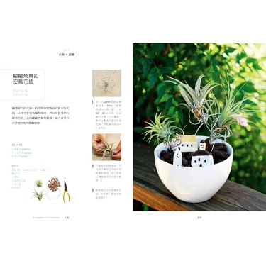 博客來-空氣鳳梨圖鑑：魅力品種x玩賞栽培x佈置應用