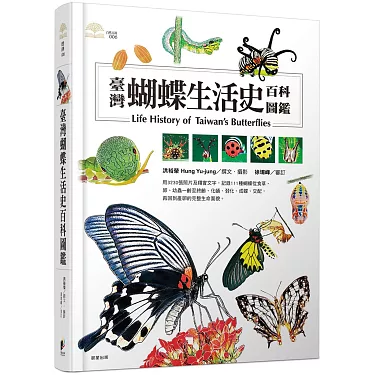 1960年代物】標本100頭『台湾産蝴蝶☆TAIWAN おとさ BUTTERFLY』① 
