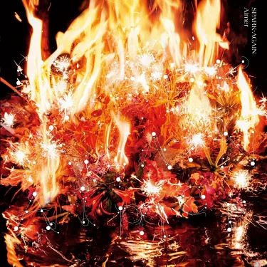 博客來-Aimer / SPARK-AGAIN【初回生産限定盤】