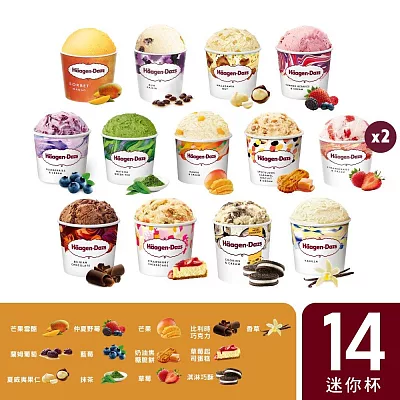 【哈根達斯】繽紛嘉年華14入組