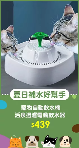 寵物自動飲水機 活泉過濾電動飲水器 (USB供電) 白色