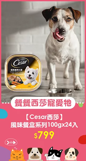 【Cesar西莎】風味餐盒 經典嫩烤火雞 100g*24入 寵物/狗罐頭/狗食(有效日期2025/3/16)