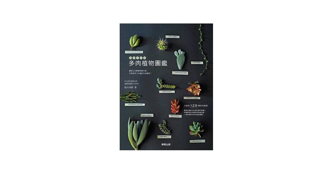 療癒系新寵 多肉植物圖鑑 | 拾書所