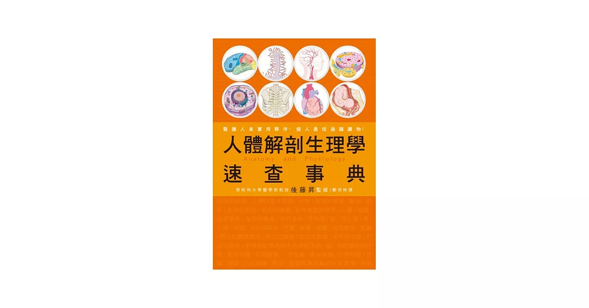 人體解剖生理學 速查事典：醫護人員實用夥伴，個人最佳通識讀物！ | 拾書所