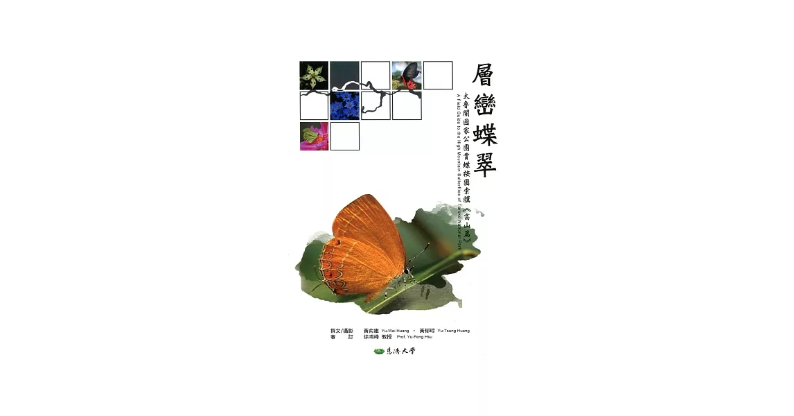 層巒蝶翠：太魯閣國家公園賞蝶按圖索驥. 高山篇 | 拾書所